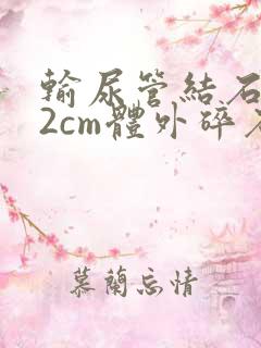 输尿管结石1.2cm体外碎石得多少钱