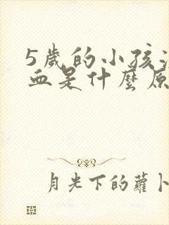 5岁的小孩流鼻血是什么原因