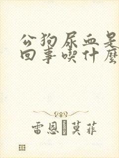 公狗尿血是怎么回事吃什么药