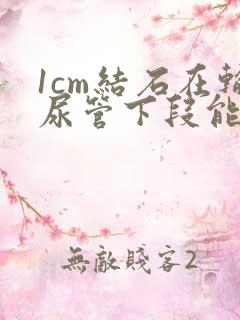 1cm结石在输尿管下段能排出吗