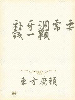 补牙洞需要多少钱一颗