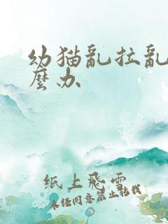 幼猫乱拉乱尿怎么办