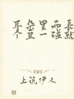 耳朵里面长了一个豆一碰就疼