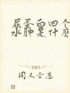 尿蛋白四个加无水肿是什么病