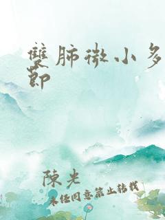 双肺微小多发结节