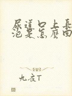 尿道口上长小水泡是怎么回事