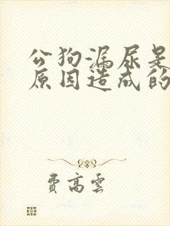 公狗漏尿是什么原因造成的