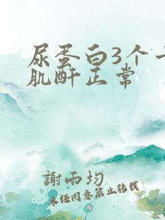 尿蛋白3个十号肌酐正常