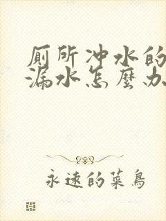 厕所冲水的一直漏水怎么办