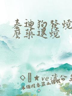 泰迪狗发烧吃什么药退烧