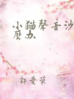 小猫声音沙哑怎么办