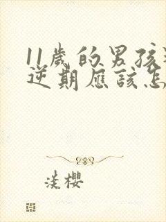 11岁的男孩叛逆期应该怎么教育