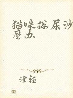 猫咪总尿沙发怎么办