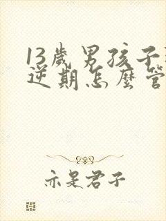 13岁男孩子叛逆期怎么管教最合适