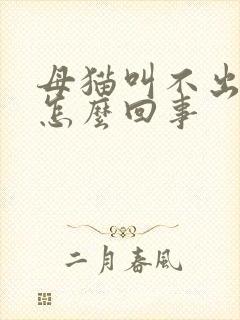 母猫叫不出声是怎么回事