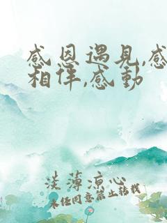 感恩遇见,感谢相伴,感动