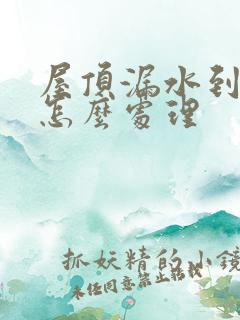 屋顶漏水到客厅怎么处理