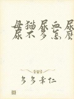 母猫尿血尿频但尿不多怎么办