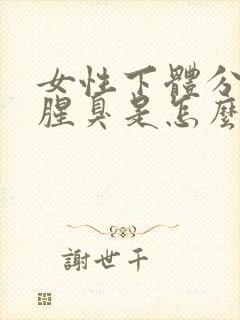 女性下体分泌物腥臭是怎么回事啊