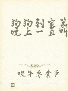 狗狗到家第一天晚上一直叫