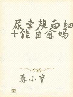 尿常规白细胞3+能自愈吗