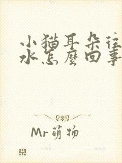 小猫耳朵往外流水怎么回事