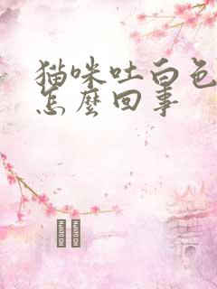 猫咪吐白色的水怎么回事