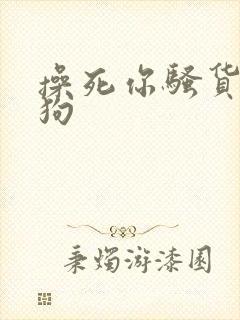 操死你骚货骚母狗