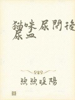 猫咪尿闭后一直尿血