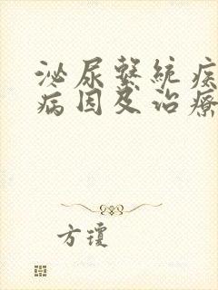 泌尿系统疾病的病因及治疗