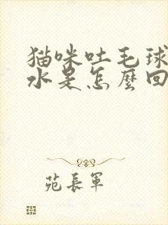 猫咪吐毛球吐黄水是怎么回事