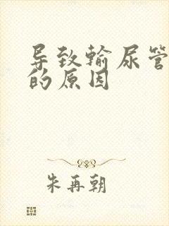 导致输尿管结石的原因