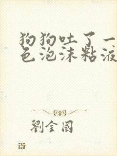 狗狗吐了一滩白色泡沫粘液