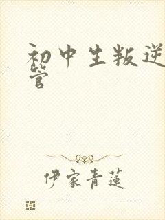 初中生叛逆怎么管