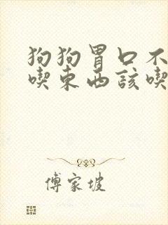 狗狗胃口不好不吃东西该吃什么药