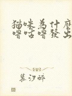 猫咪为什么会咕噜咕噜发出声音