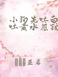 小狗先吐白沫后吐黄水应该怎么治疗