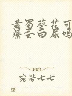 黄蜀葵花可以治疗蛋白尿吗