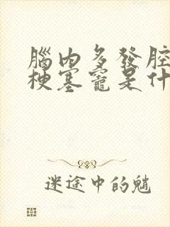 脑内多发腔隙性梗塞灶是什么意思