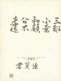 老公和小三同居还不愿意离婚