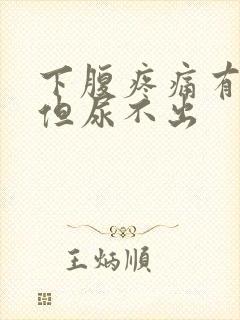 下腹疼痛有尿意但尿不出