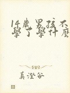 14岁男孩不上学了学什么技术好