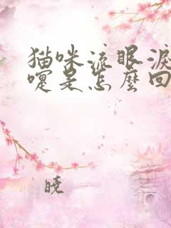 猫咪流眼泪打喷嚏是怎么回事