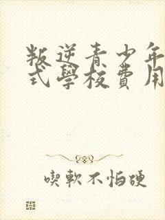 叛逆青少年封闭式学校费用