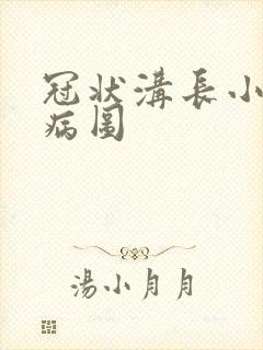 冠状沟长小肉刺病图