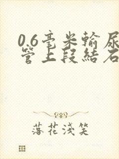 0.6毫米输尿管上段结石如何治疗