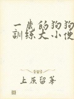 一岁的狗狗怎么训练大小便