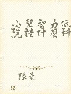 小儿智力低去医院挂什么科