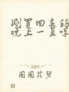 刚买回来的小狗晚上一直哼唧