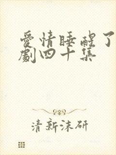 爱情睡醒了连续剧四十集